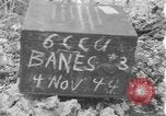 Standbild 8th Fighter Group Insel Morotai Indonesien, 1944, aus Sekunde 1 historischem Filmmaterial Videoclip 65675068812