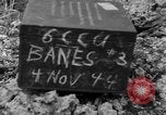 Standbild 8th Fighter Group Insel Morotai Indonesien, 1944, aus Sekunde 3 historischem Filmmaterial Videoclip 65675068812