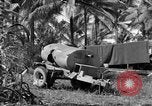 Standbild 8th Fighter Group Insel Morotai Indonesien, 1944, aus Sekunde 6 historischem Filmmaterial Videoclip 65675068812