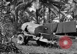 Standbild 8th Fighter Group Insel Morotai Indonesien, 1944, aus Sekunde 7 historischem Filmmaterial Videoclip 65675068812