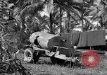 Standbild 8th Fighter Group Insel Morotai Indonesien, 1944, aus Sekunde 8 historischem Filmmaterial Videoclip 65675068812