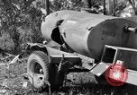 Standbild 8th Fighter Group Insel Morotai Indonesien, 1944, aus Sekunde 9 historischem Filmmaterial Videoclip 65675068812