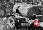 Standbild 8th Fighter Group Insel Morotai Indonesien, 1944, aus Sekunde 10 historischem Filmmaterial Videoclip 65675068812