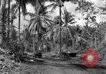 Standbild 8th Fighter Group Insel Morotai Indonesien, 1944, aus Sekunde 26 historischem Filmmaterial Videoclip 65675068812