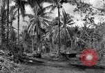 Standbild 8th Fighter Group Insel Morotai Indonesien, 1944, aus Sekunde 27 historischem Filmmaterial Videoclip 65675068812