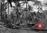 Standbild 8th Fighter Group Insel Morotai Indonesien, 1944, aus Sekunde 28 historischem Filmmaterial Videoclip 65675068812