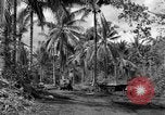Standbild 8th Fighter Group Insel Morotai Indonesien, 1944, aus Sekunde 29 historischem Filmmaterial Videoclip 65675068812