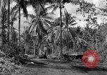 Standbild 8th Fighter Group Insel Morotai Indonesien, 1944, aus Sekunde 30 historischem Filmmaterial Videoclip 65675068812