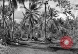 Standbild 8th Fighter Group Insel Morotai Indonesien, 1944, aus Sekunde 31 historischem Filmmaterial Videoclip 65675068812
