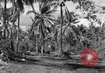 Standbild 8th Fighter Group Insel Morotai Indonesien, 1944, aus Sekunde 32 historischem Filmmaterial Videoclip 65675068812