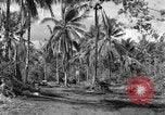 Standbild 8th Fighter Group Insel Morotai Indonesien, 1944, aus Sekunde 33 historischem Filmmaterial Videoclip 65675068812