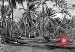 Standbild 8th Fighter Group Insel Morotai Indonesien, 1944, aus Sekunde 34 historischem Filmmaterial Videoclip 65675068812