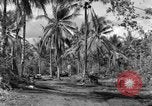 Standbild 8th Fighter Group Insel Morotai Indonesien, 1944, aus Sekunde 35 historischem Filmmaterial Videoclip 65675068812