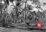 Standbild 8th Fighter Group Insel Morotai Indonesien, 1944, aus Sekunde 36 historischem Filmmaterial Videoclip 65675068812