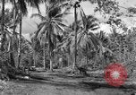 Standbild 8th Fighter Group Insel Morotai Indonesien, 1944, aus Sekunde 38 historischem Filmmaterial Videoclip 65675068812