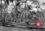 Standbild 8th Fighter Group Insel Morotai Indonesien, 1944, aus Sekunde 39 historischem Filmmaterial Videoclip 65675068812