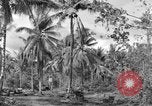 Standbild 8th Fighter Group Insel Morotai Indonesien, 1944, aus Sekunde 40 historischem Filmmaterial Videoclip 65675068812