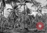 Standbild 8th Fighter Group Insel Morotai Indonesien, 1944, aus Sekunde 41 historischem Filmmaterial Videoclip 65675068812