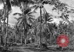 Standbild 8th Fighter Group Insel Morotai Indonesien, 1944, aus Sekunde 42 historischem Filmmaterial Videoclip 65675068812