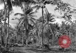 Standbild 8th Fighter Group Insel Morotai Indonesien, 1944, aus Sekunde 43 historischem Filmmaterial Videoclip 65675068812