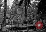 Standbild 8th Fighter Group Insel Morotai Indonesien, 1944, aus Sekunde 44 historischem Filmmaterial Videoclip 65675068812