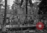 Standbild 8th Fighter Group Insel Morotai Indonesien, 1944, aus Sekunde 45 historischem Filmmaterial Videoclip 65675068812