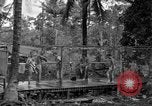 Standbild 8th Fighter Group Insel Morotai Indonesien, 1944, aus Sekunde 47 historischem Filmmaterial Videoclip 65675068812