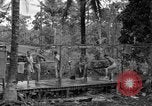 Standbild 8th Fighter Group Insel Morotai Indonesien, 1944, aus Sekunde 49 historischem Filmmaterial Videoclip 65675068812