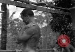 Standbild 8th Fighter Group Insel Morotai Indonesien, 1944, aus Sekunde 53 historischem Filmmaterial Videoclip 65675068812