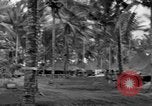 Standbild 8th Fighter Group Insel Morotai Indonesien, 1944, aus Sekunde 57 historischem Filmmaterial Videoclip 65675068812