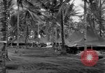 Standbild 8th Fighter Group Insel Morotai Indonesien, 1944, aus Sekunde 58 historischem Filmmaterial Videoclip 65675068812