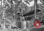 Standbild 8th Fighter Group Insel Morotai Indonesien, 1944, aus Sekunde 60 historischem Filmmaterial Videoclip 65675068812