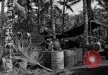 Standbild 8th Fighter Group Insel Morotai Indonesien, 1944, aus Sekunde 61 historischem Filmmaterial Videoclip 65675068812