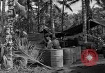 Standbild 8th Fighter Group Insel Morotai Indonesien, 1944, aus Sekunde 62 historischem Filmmaterial Videoclip 65675068812