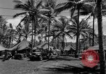 Image 8e Groupe de chasse Morotai Île de l'Indonésie, 1944, de la seconde 4 séquences d'archives historiques vidéo 65675068813