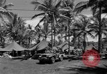 Image 8e Groupe de chasse Morotai Île de l'Indonésie, 1944, de la seconde 6 séquences d'archives historiques vidéo 65675068813