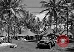 Image 8e Groupe de chasse Morotai Île de l'Indonésie, 1944, de la seconde 8 séquences d'archives historiques vidéo 65675068813