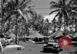 Image 8e Groupe de chasse Morotai Île de l'Indonésie, 1944, de la seconde 9 séquences d'archives historiques vidéo 65675068813