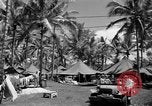 Image 8e Groupe de chasse Morotai Île de l'Indonésie, 1944, de la seconde 10 séquences d'archives historiques vidéo 65675068813