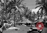 Image 8e Groupe de chasse Morotai Île de l'Indonésie, 1944, de la seconde 11 séquences d'archives historiques vidéo 65675068813