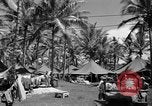 Image 8e Groupe de chasse Morotai Île de l'Indonésie, 1944, de la seconde 12 séquences d'archives historiques vidéo 65675068813