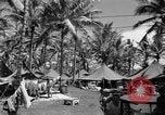 Image 8e Groupe de chasse Morotai Île de l'Indonésie, 1944, de la seconde 14 séquences d'archives historiques vidéo 65675068813