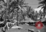 Image 8e Groupe de chasse Morotai Île de l'Indonésie, 1944, de la seconde 16 séquences d'archives historiques vidéo 65675068813