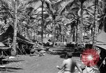 Image 8e Groupe de chasse Morotai Île de l'Indonésie, 1944, de la seconde 17 séquences d'archives historiques vidéo 65675068813