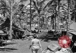 Image 8e Groupe de chasse Morotai Île de l'Indonésie, 1944, de la seconde 18 séquences d'archives historiques vidéo 65675068813