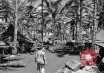 Image 8e Groupe de chasse Morotai Île de l'Indonésie, 1944, de la seconde 19 séquences d'archives historiques vidéo 65675068813