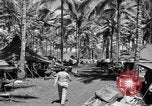 Image 8e Groupe de chasse Morotai Île de l'Indonésie, 1944, de la seconde 20 séquences d'archives historiques vidéo 65675068813