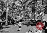 Image 8e Groupe de chasse Morotai Île de l'Indonésie, 1944, de la seconde 21 séquences d'archives historiques vidéo 65675068813