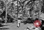 Image 8e Groupe de chasse Morotai Île de l'Indonésie, 1944, de la seconde 22 séquences d'archives historiques vidéo 65675068813
