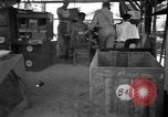 Image 8e Groupe de chasse Morotai Île de l'Indonésie, 1944, de la seconde 23 séquences d'archives historiques vidéo 65675068813